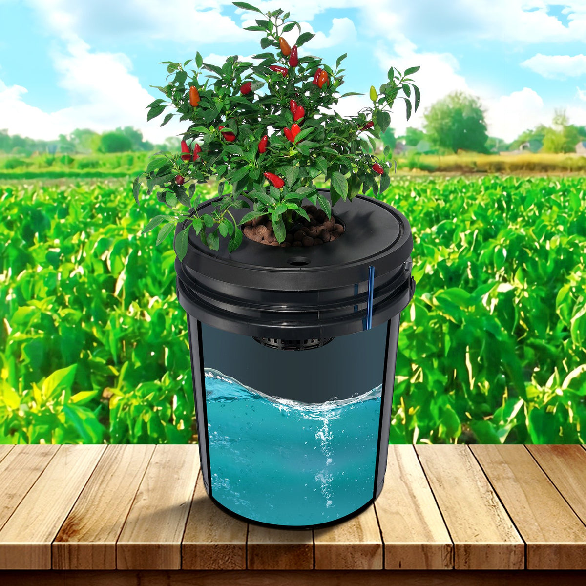 DWC Hydroponic System, 5 Gallon 4 Buckets, Deep Water Culture Growing Bucket, Hydroponics Grow Kit With Pump, Air Stone And Water Level Device, For Indoor/Outdoor Leafy Vegetables